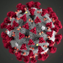 Profile picture of MohamedEjaz AhmedFeroz