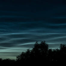 Profile picture of Falana Salley