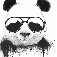 Profile picture of Panda AKA MUBARAK